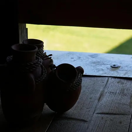 Tatil Evi The Passenger Spot *
